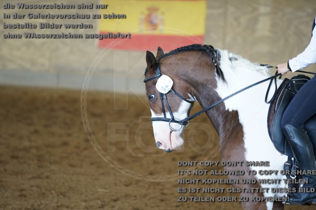 s_K3F03321.JPG
